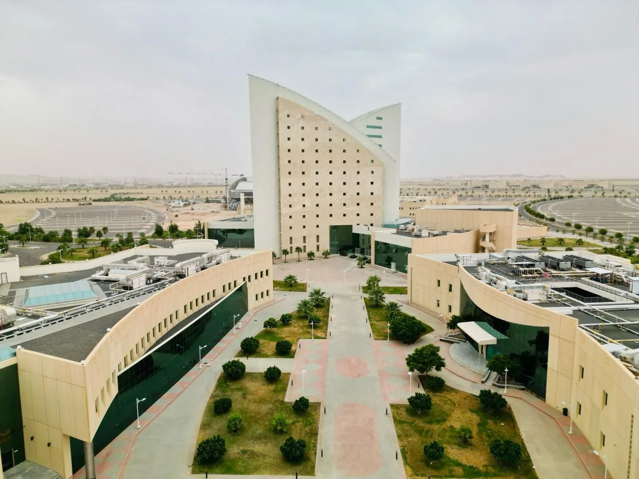 Najran University Develops a National Tool to Enable Digital Accessibility for Persons with Disabilities and the Elderly