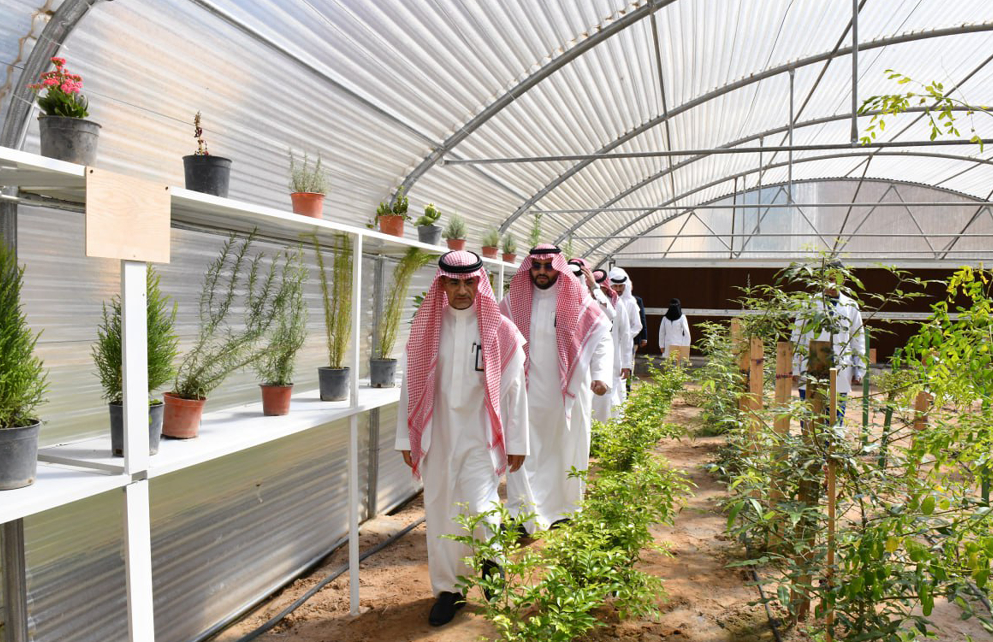 حديقة النباتات الطبية